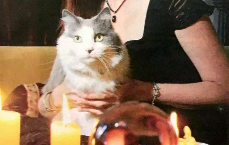 The Age - Questions For Danae Thorp Witch